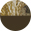 Realtree-Max-Five-Brown